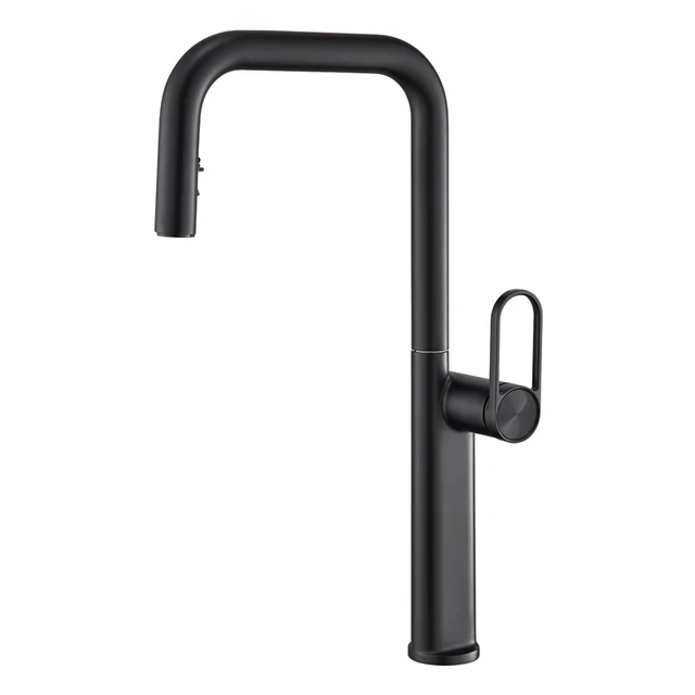 ก๊อกน้ำอ่างล้างจานแบบดึงออกได้ 360 องศา °   ก๊อกน้ำผสมร้อน/เย็นแบบติดตั้งบนฝักบัว พร้อมหัวฉีดแบบหมุนปรับได้ ดีไซน์หรูหรา สีดำ/โครเมียม 6