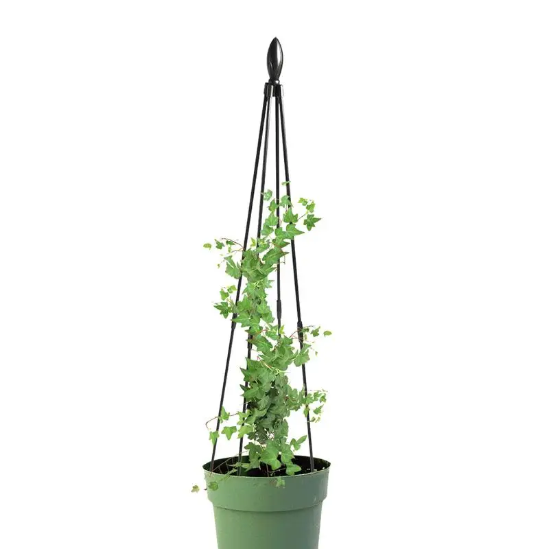 

Obelisk Garden Trellis Climbing Vines Flower Climbing Pergola For Green Dill Rose Clematis Jasmine Morning Amaryllis Plant Cage