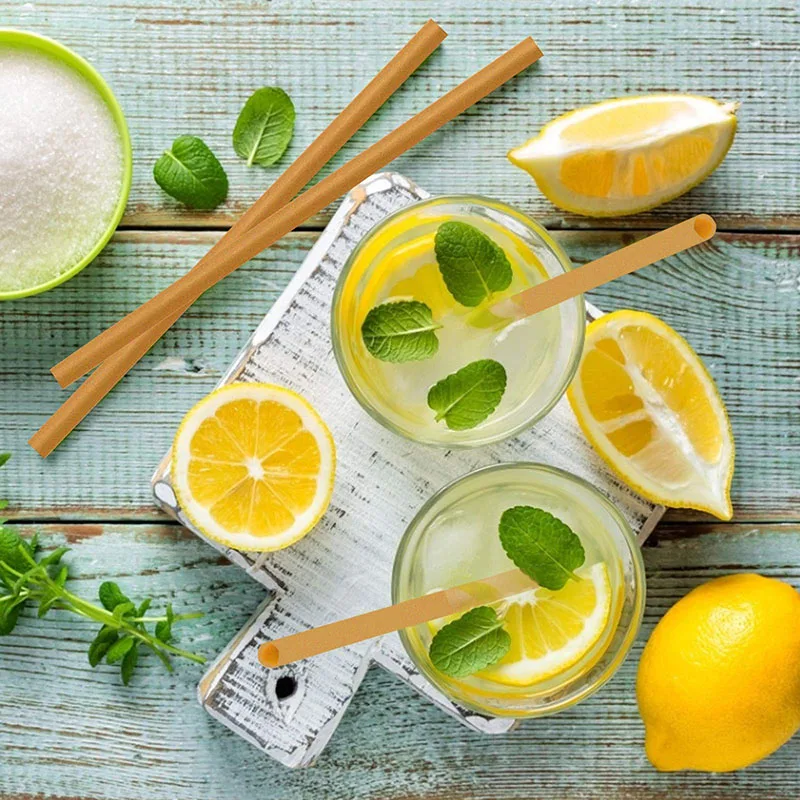 200pcs Sugar Cane Straws 21cm Disposable Compostable Drinking Cocktail Straw Kitchen Beverage Accessories Festival Party Kitchen