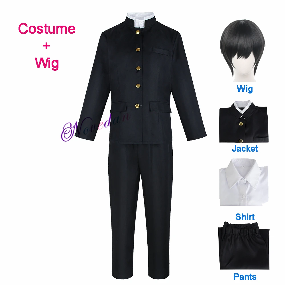 Costume Wig