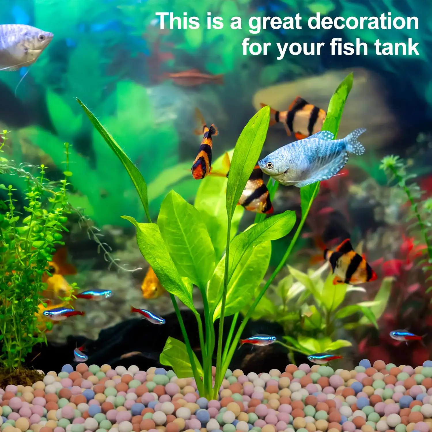 Hydroponic Plant Decorative Colorful Ceramsite Aquarium Tank Mineral Supplement Substrate Mineral Freshwater Biological Ball