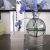Nordic Spherical Living Room Flower Pot Hydroponic Plant Flower Decoration Home Decoration Glass Vase Flower Vase Table Decor 3
