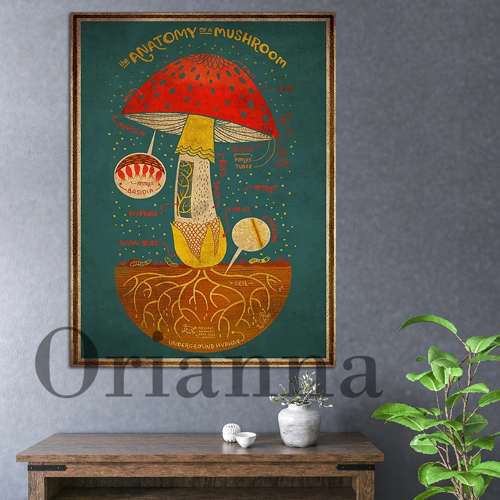 The Anatomy of a Mushroom Art Print 