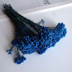 Elegant Preserved Rice Flower for Home and Office Decor - Ideal for DIY Crafts and Handmade Candle Projects (Royal blue)