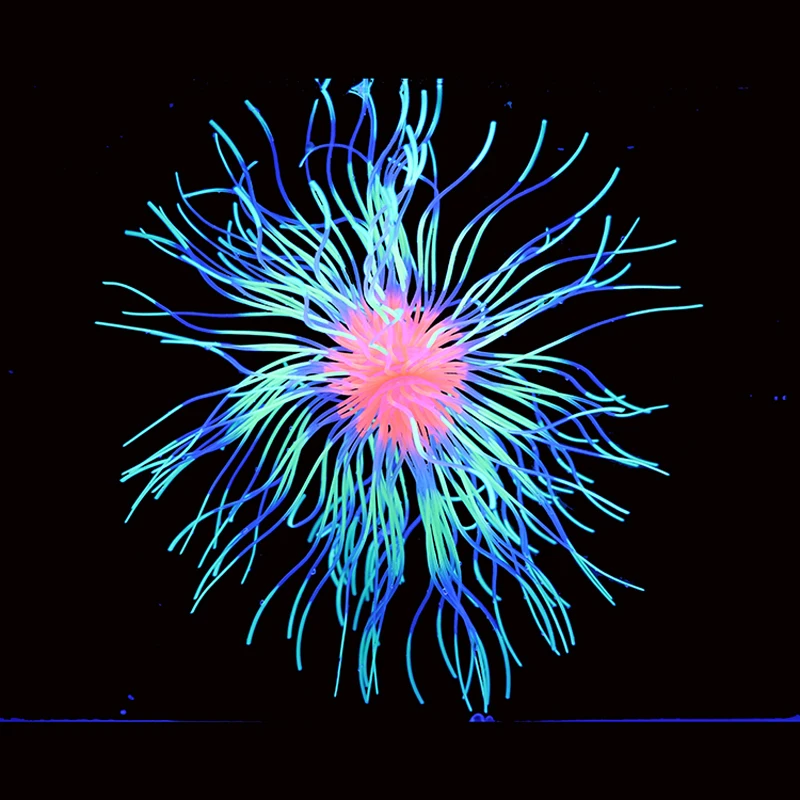 Artificial Silicone Emulation Firework for Underwater World Decoration Aquarium Fish Tank