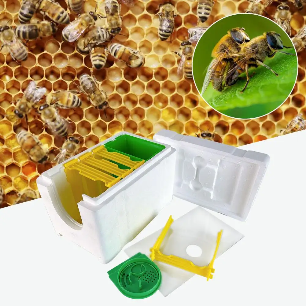 Multi-Function Home Bee Hive Pollination Boxes Mini Beekeeping Harvest Beekeeper Bee Supplies Hive Mating Box Beehive W5K3