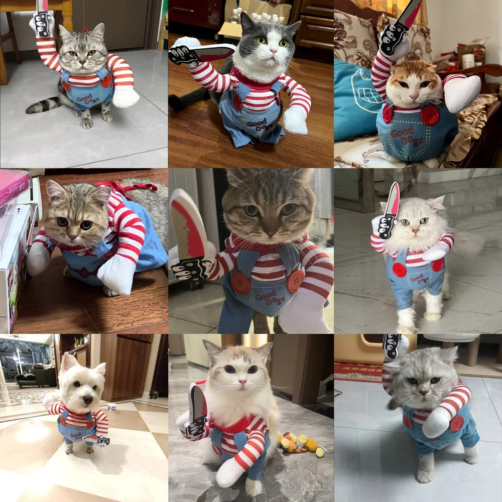 Halloween Dog Costume Outfit 6