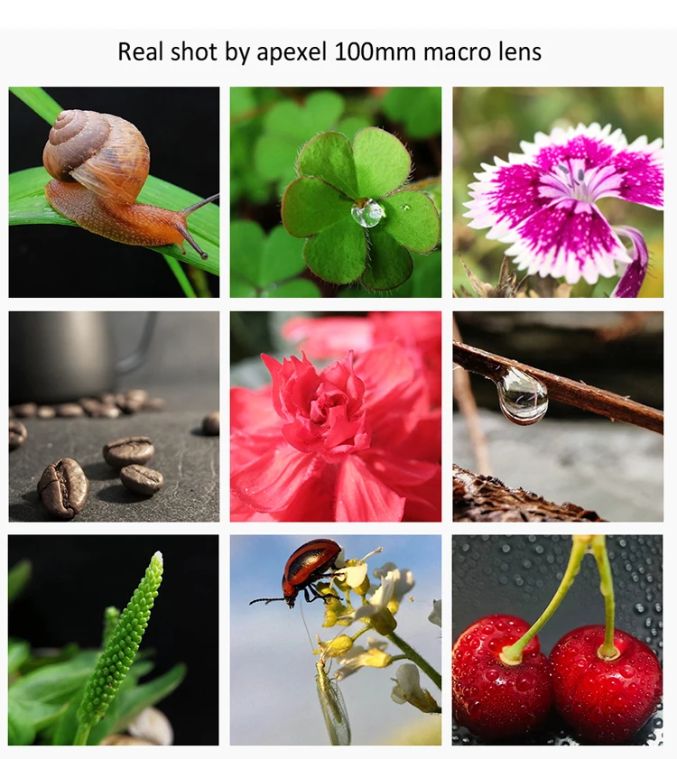New Upgrated 4k HD 100mm Macro Lens With LED Fill Light Universal Clamp Micro Le