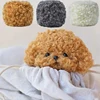 50g/Roll Polyester Knitted Curled Teddy Yarn Plush Wool Soft Line Hand Woven Crochet Sweater Scarf Weaving Doll Thread Material 3