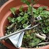 Stainless Steel Hand Weeder Garden Outdoor Hand Weeding Tool Removal Farmland Puller Dandelion Digging Lawn Weeder Transplant 2