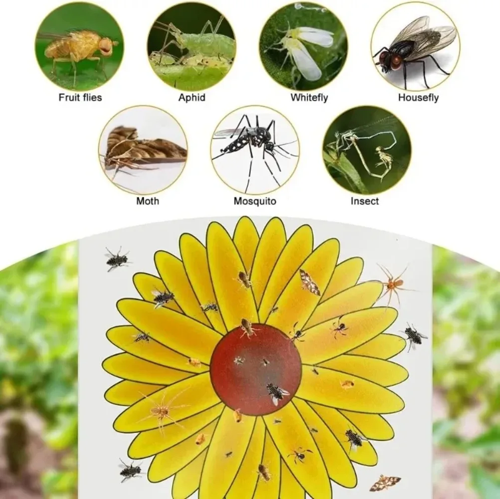 Trappole Adesive per Mosche e Insetti da Finestra a Forma di Girasole, Cattura Mosche della Frutta, Insetticidi per Interni, Controllo Parassiti per Casa e Cucina - immagine 5