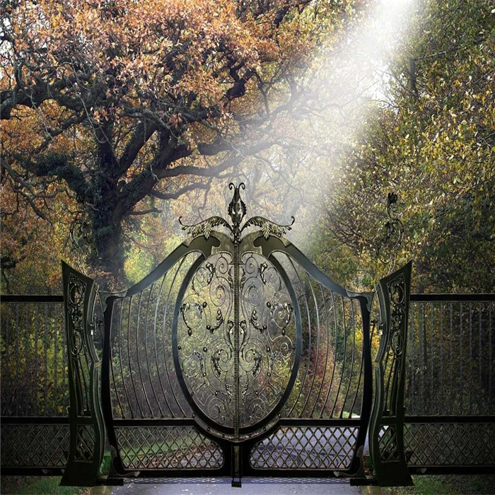 China Supplier Low Price New Product Sliding Wrought Iron Gate Wrought Iron Gate Foshan