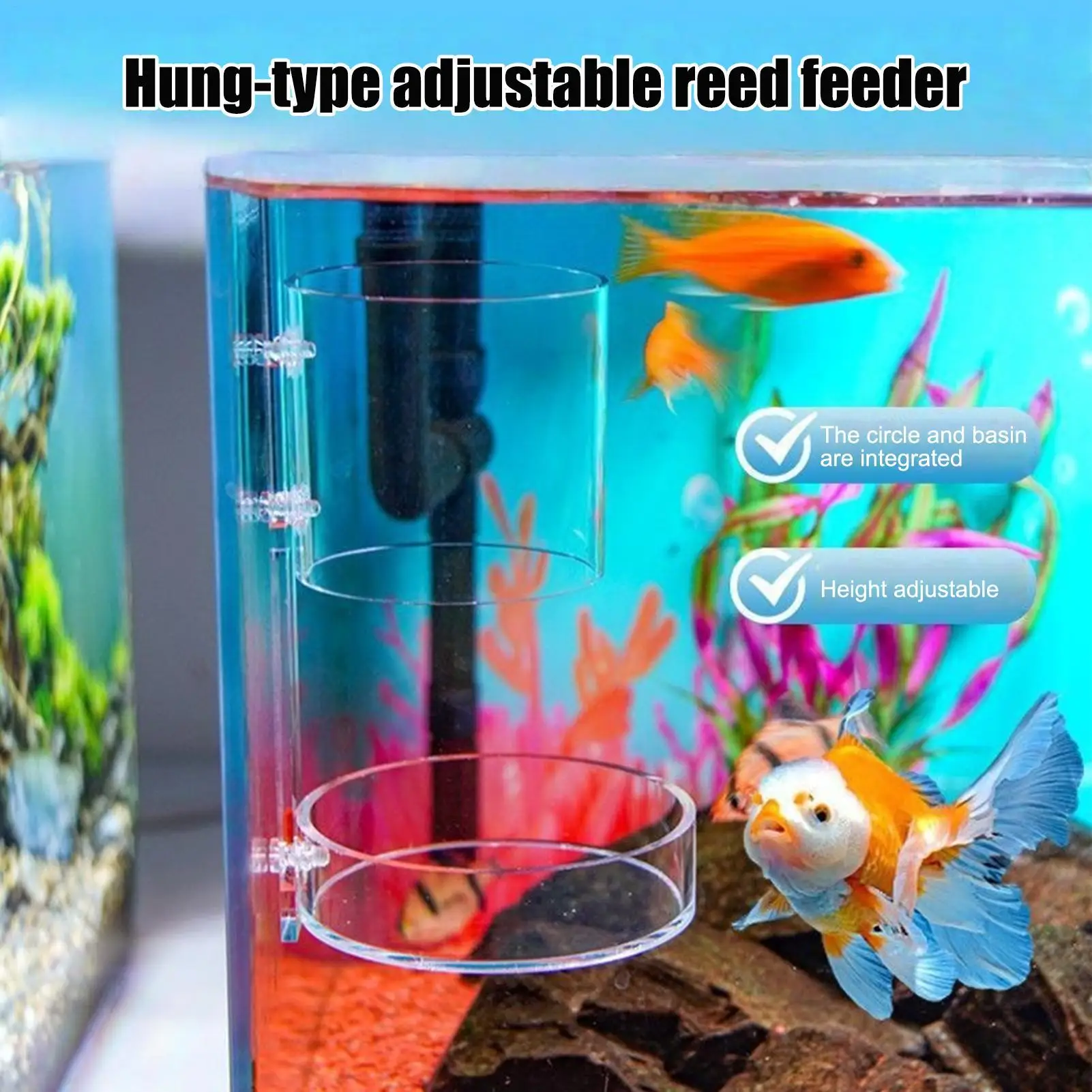 Transparent Acrylic Aquarium Feeder Dish Floating and Sinking Type Fish Tank Dish Tray Shrimp Food Feeding Bowl Accessories