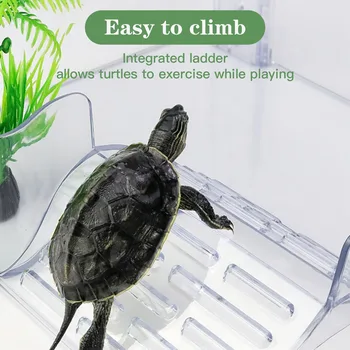 Turtle Basking Ramp 1