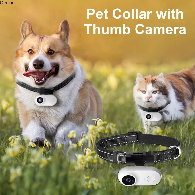 Practical Pet Camera Collar Dog Collar Camera with Large Angles for Pet Monitoring Outdoor Training Video