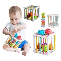 Baby Montessori Shape Sorter Cube Rainbow Colorful Blocks Sorting Game Infant Cognitive Grip Training Learning Educational Toy 1