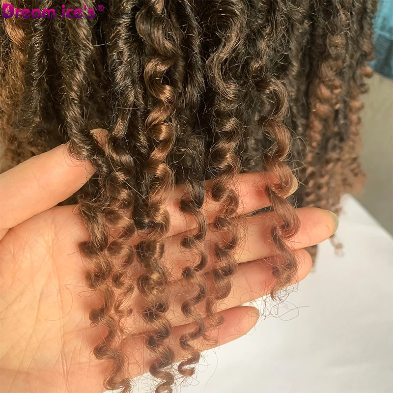 Encaracolado para Preto Resistente ao Calor Peruca Sintética Curta Afro Kinky Feminino Marrom Escuro Burg Glueless Fibra Cosplay Sonho Gelo 16 Computers & Electronics