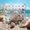 Acrylic Magnetic Seashell Display Box 36/64Grids Circle & Heart Jewelry Display Cases Container With Lid Small 1