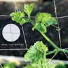 1Pcs Multi Use Plant Trellis Netting Heavy-Duty Polyester Plant Support Vine Climbing Hydroponics Garden Net Accessories 3