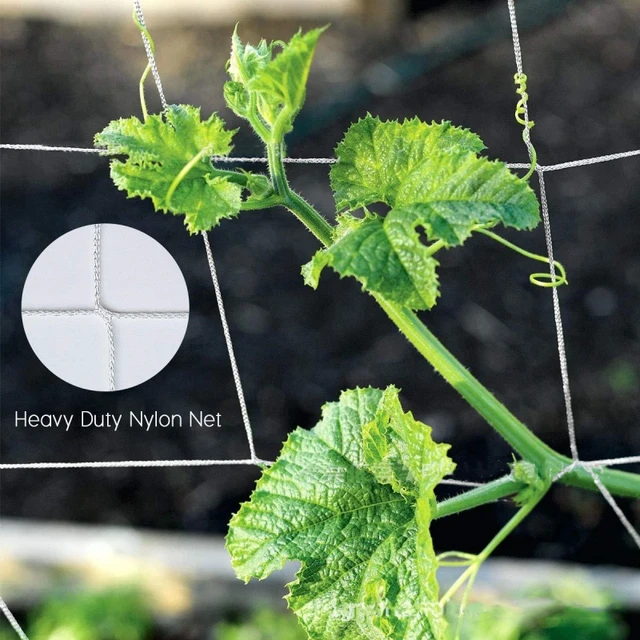 1Pcs Multi Use Plant Trellis Netting Heavy-Duty Polyester Plant Support Vine Climbing Hydroponics Garden Net Accessories 3