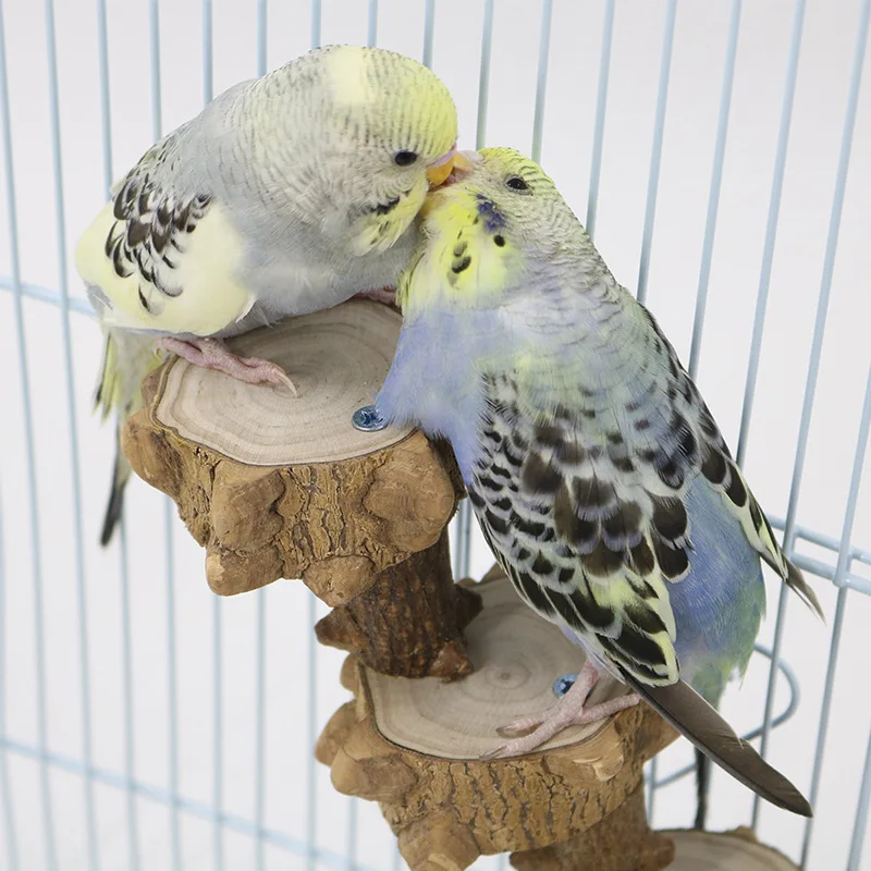 The Climbing Ladder, The Parrot Climbing Ladder, Bird Springboard Rest Platform Rack Wisdom Gnaws Bird Toy