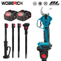 Brushless Electric Pruning Shears Pruner With 1.3-2.5m Reach Extension Pole Efficient Fruit Tree Bonsai Pruning Branche Cutter 1