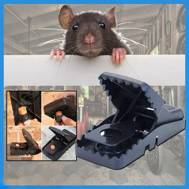 High Sensitivity Aggressive Bites Mouse Clip Mouse Trap Boxed