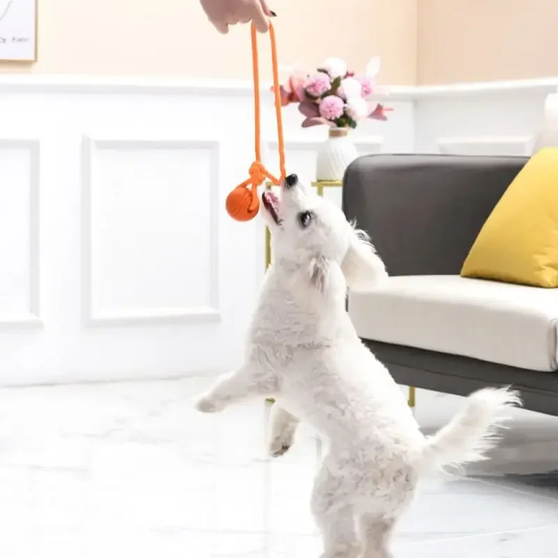 Durable Interactive Cotton Rope Dog Toy - Nontoxic Ball for Catching, Throwing, and Tugging