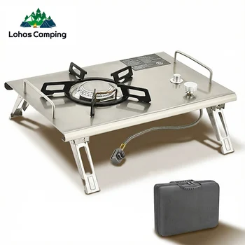 Camping Gas Stove 1