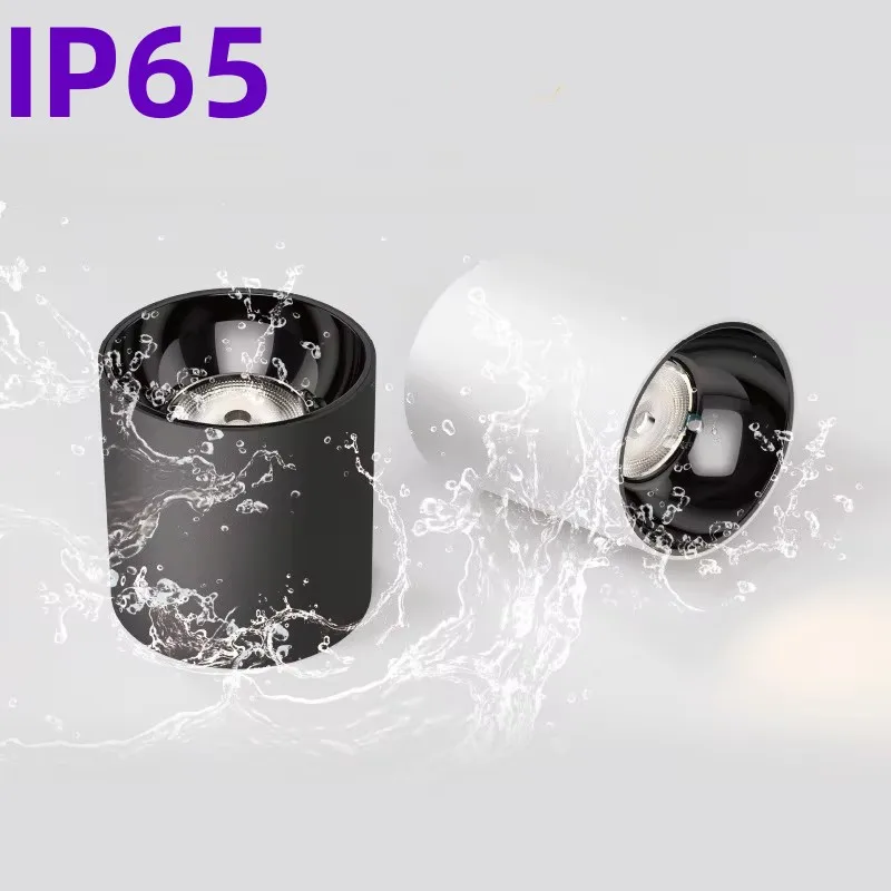 Modern IP65 Professional Waterproof Tube Light LED Bathroom/Kitchen/Outdoor 5W/10W/15W/20W/25W/30W Black And White Surface Mount