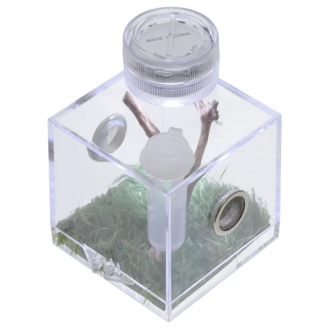 Spider Jumping Breeding Box Small Clear Container Enclosure Accessories  Acrylic Habitat Holder Terrarium For - AliExpress