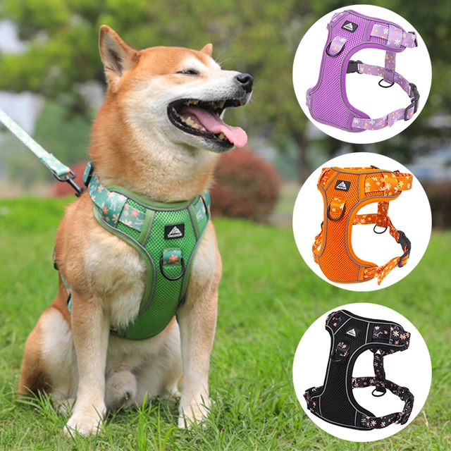 Großes Hunde geschirr reflektieren des Haustier Brustgurt Französisch  Bulldogge Weste Geschirr für mittelgroße Hunde halsband Labrador Walking  Supplies - AliExpress