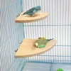 Parrot Bird Wood Perch Stand Platform Rectangle Fan-shaped Shelf Stand Board For Budgie Parakeet Cockatiel Hamster Gerbil Rat 1