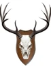 Deer Trophy Shield Roe Solid Oak Trophy Plate Buck Wooden Shields for Deer Trophies Plaque 3