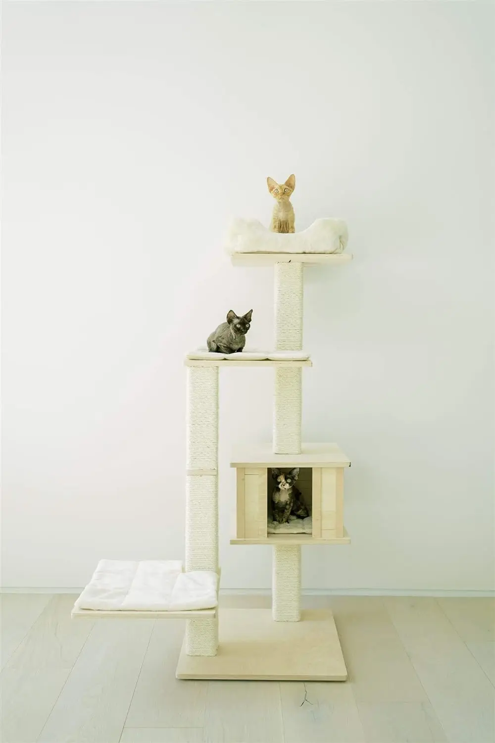 

Multi-Level Cat Tree Bed Condo, 60", Indoor Cat Tower with Square-Shaped Scratching Posts for Cats and Kittens, 4 Beds, 1 Co Ham