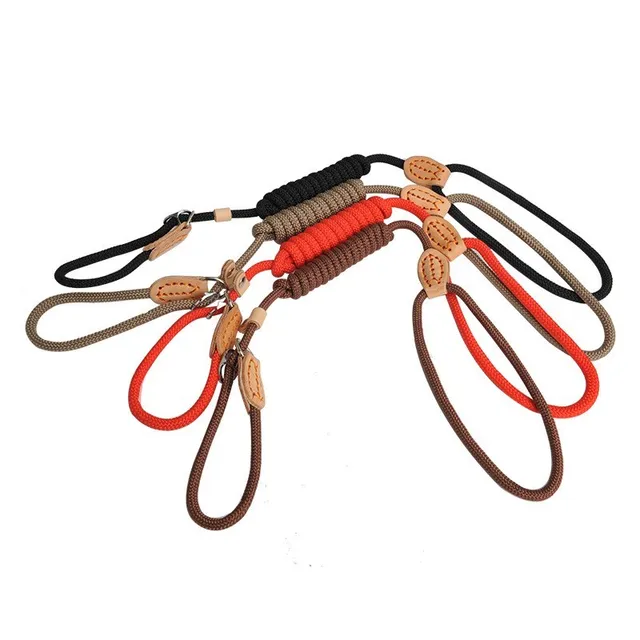 P Chain Dog Leash Slip Collar pet Walking Leads Nylon Dog Mountain Climbing Rope puppy pet Traction For small Medium Large Dogs 6