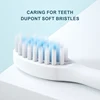 6 Modes Electric Sonic Toothbrush USB Rechargeable for Adults Ultrasonic Tootbrush with 4/8 Replacement Heads Smart Timer IPX7 4