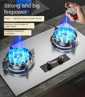 New household gas stove. Counter/embedded. Dual-use. Double-burner. Natural gas/liquefied gas. 1