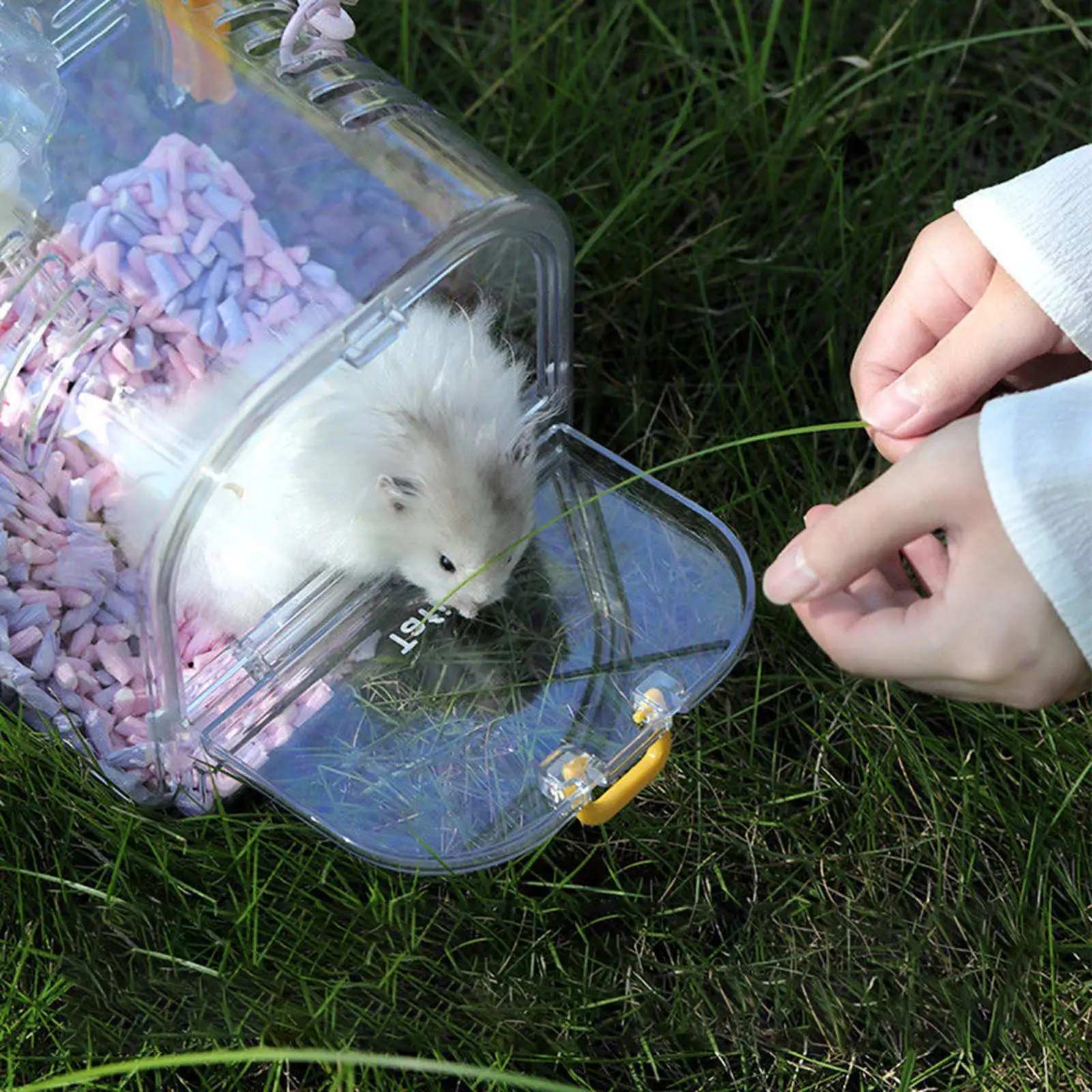 Hamster Travel Carrier Cage,Small Animal Carry Case,Large Convenient Chinchilla Cage for Mice,Squirrel,Small Animals,Hedgehog
