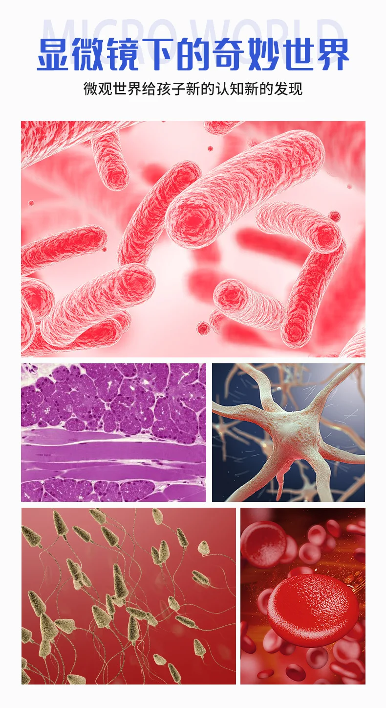 Microscope binoculaire optique professionnel, expérience biologique 10000  fois, collégien, cellule de spermatologie