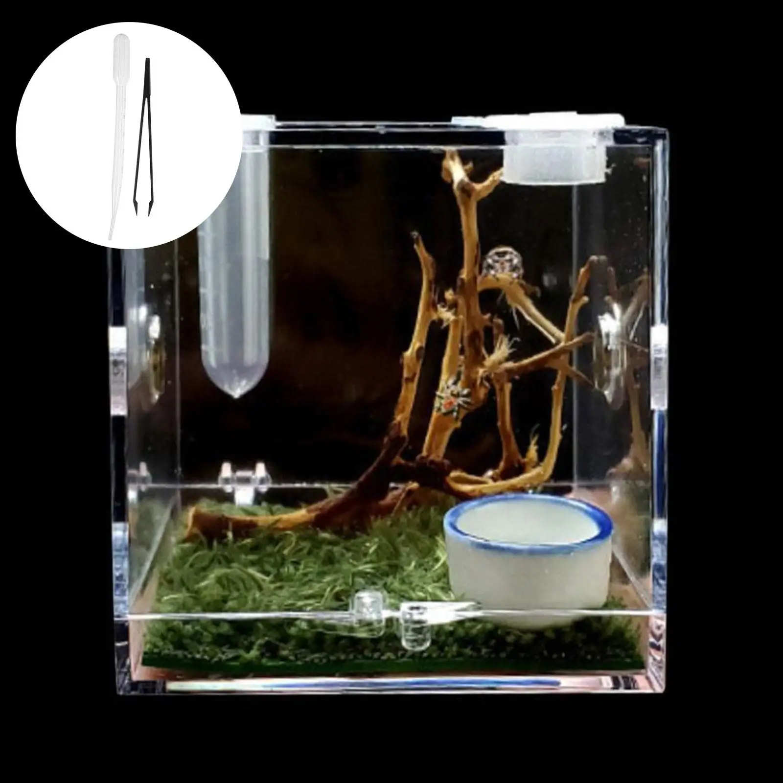 Title 3, Spider Reptile Insect Feeding Box Reptile Breed...
