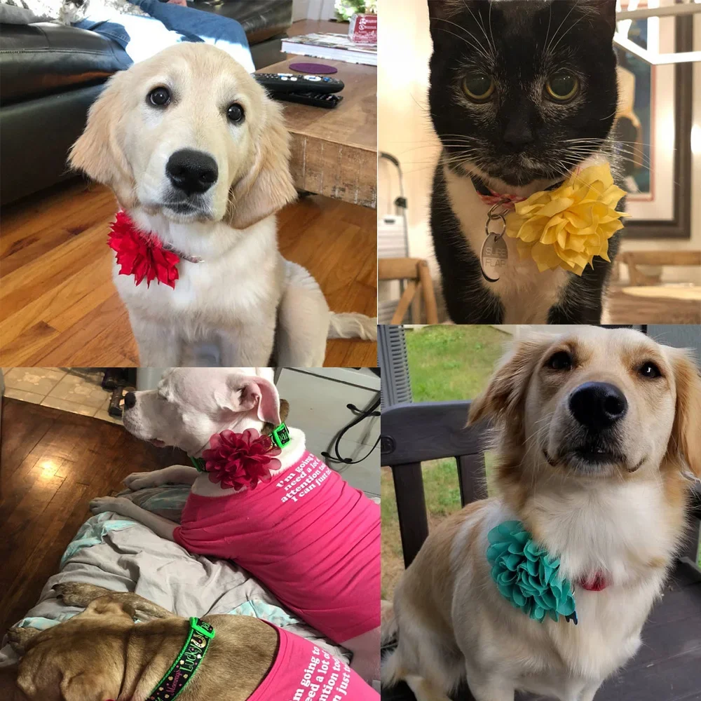 Bulk Flower-Collar Dog Accessories Dog Bow Tie Pet Dog Collar Accessories  Flower For Dog Collar Dog Flower Collar Accessory 6
