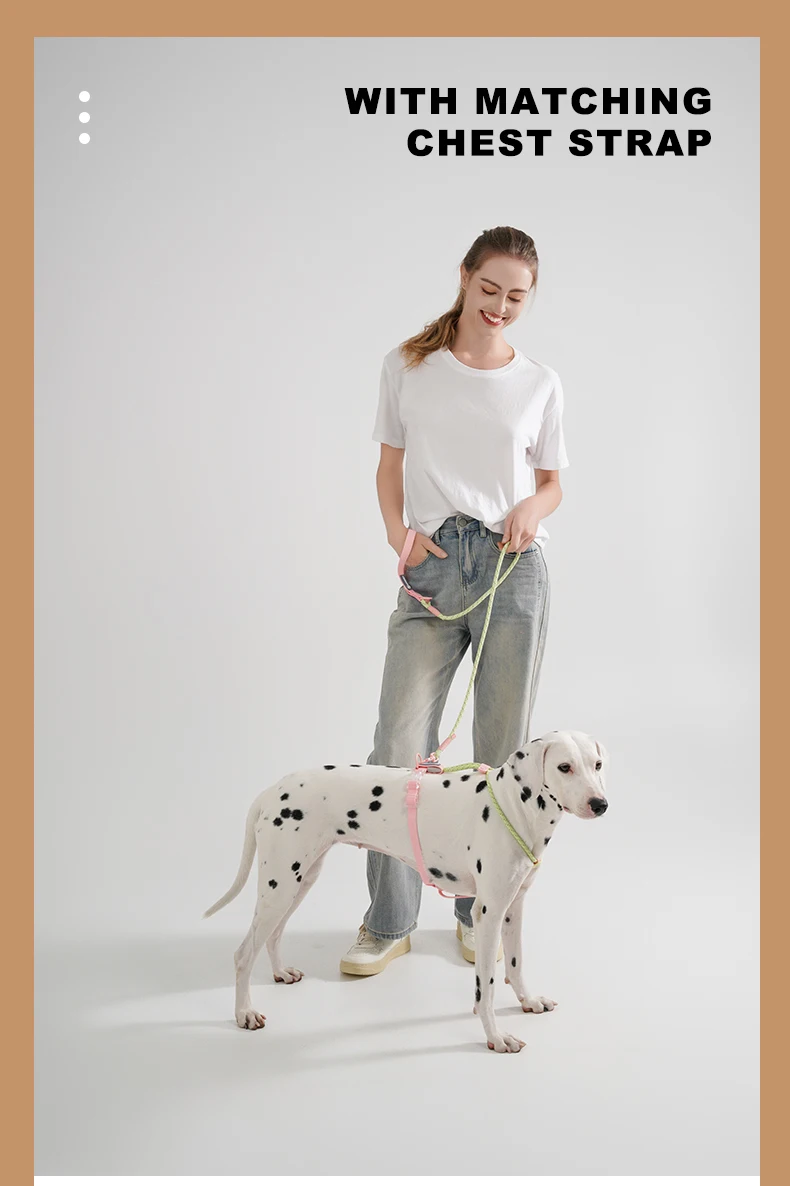 Cute style PVC Webbing Collar Leashes Dog Walking Series - PeticaDeals