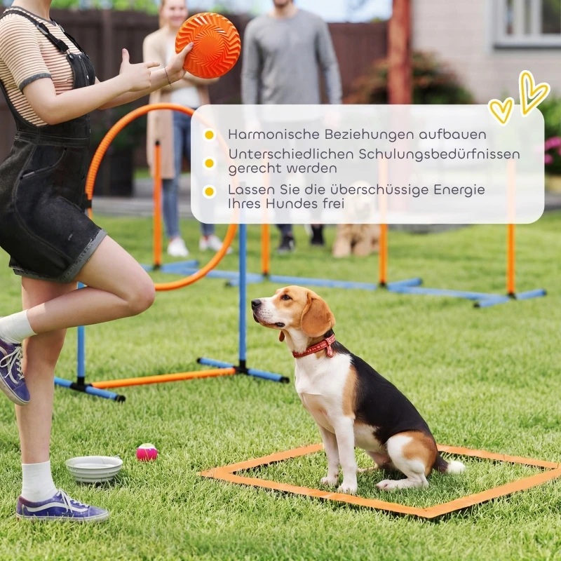 Agility-Set für Hunde 11-teilig Agility-Ausrüstung für Hunde mit 2 Tunneln Höhenverstellbare Sprungringe & Hürden Slalomstange Vor-Ort – Detail 7