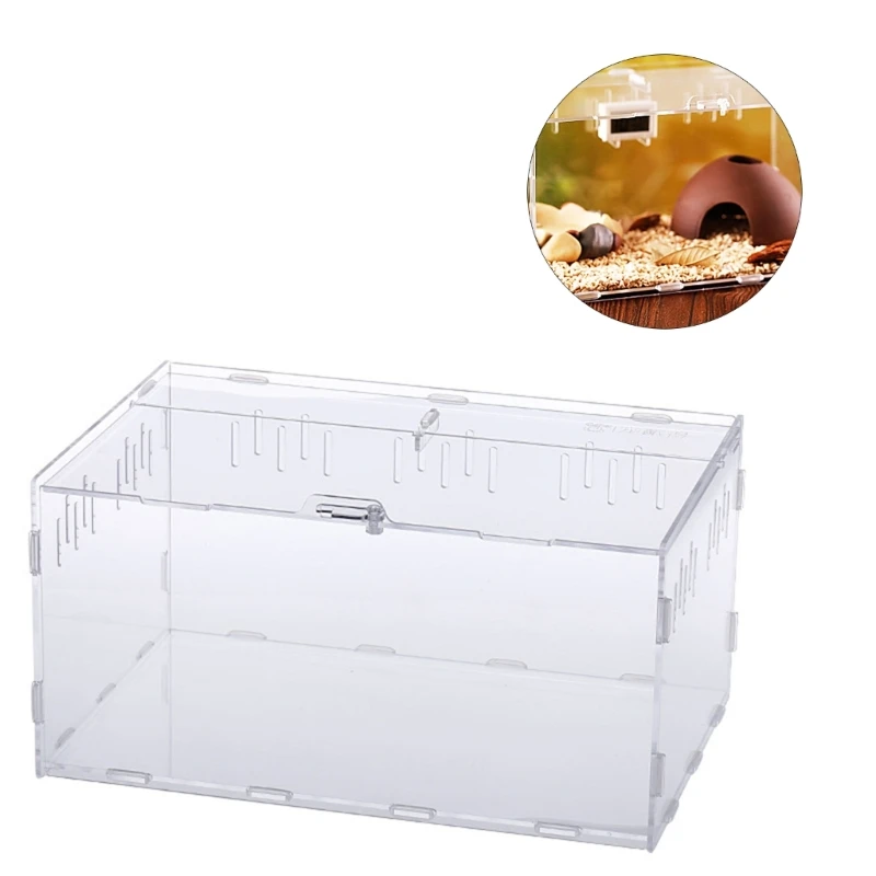 Reptiles Feeding Box Breeding Case for Mini Lizards etc.