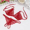 Women's Sexy Lingerie Suit Temptation Embroidery Sheer Intimates Female Lace Up Push Up Bras And Thong Set Sexy Erotic Pajamas 1