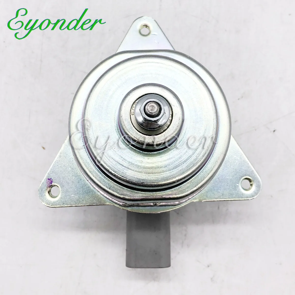 1355a131 (99) 사진