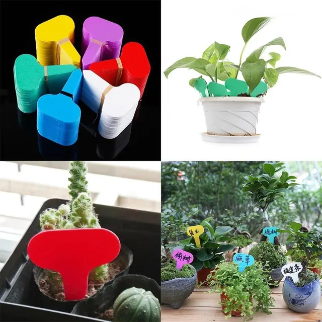100Db Műanyag T-Típusú Kerti Címkék Díszek Növényi Virágcímke Óvodai Vastag Címkézők Növényekhez Diy Dekorációs Szerszámok - Image 2