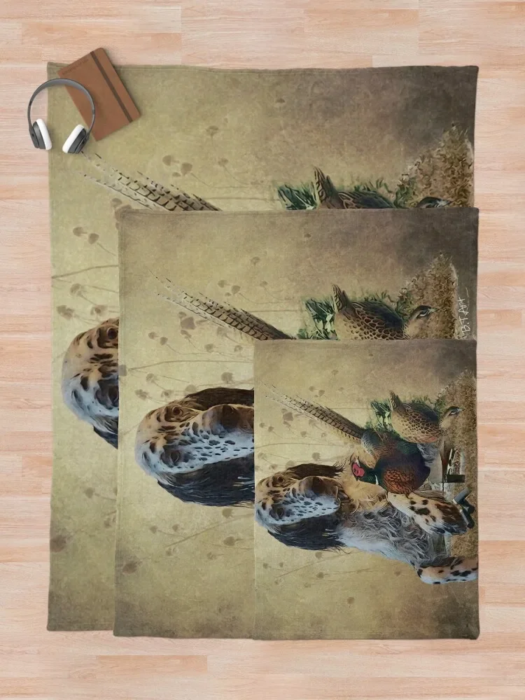 �ױ۸��� ���� ��, ���� ������ ���, ķ�� ����ִ� ����, ���� ħ�� ħ�� ���