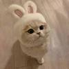 1pc Bunny Ears Cat Hat Themed Pet Costume Knit Fabric Set Comfortable Polyester Pullover Headwear for Cats & Small Dogs 6